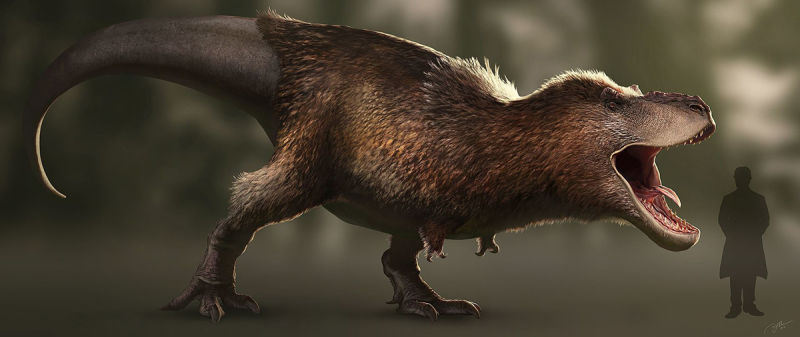 Reconstrucción moderna de un T-rex según las últimas evidencias fósiles. Ilustración: RJPalmerArt